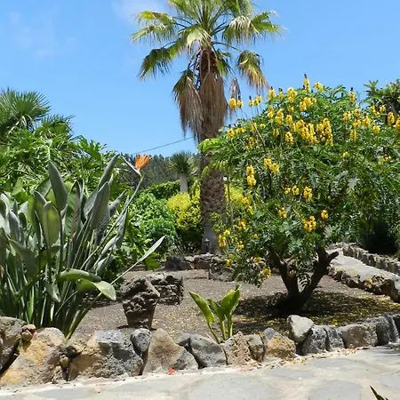Finca Naturista Las Breveritas - Solo Adultos Holiday home Icod De Los Vinos