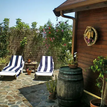 Finca Naturista Las Breveritas - Solo Adultos Icod De Los Vinos